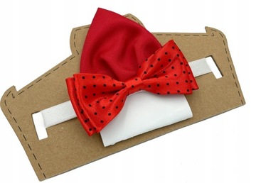 Красный, черный горошек, нагрудный платок для мальчика.