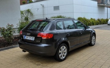 Audi A3 8P Hatchback 3d 1.9 TDI 105KM 2007 Audi A3 Sportback 1,9TDI 2007 r. Bezwypadkowy Panorama 1.9 Diesel 105KM, zdjęcie 3