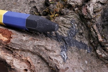 Мел графитовый смазочный для разметки, 12 шт. Bleispitz 0266.