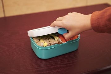 MEPAL LUNCHBOX CAMPUS GOOSE BUNCHBOX