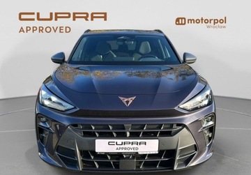Cupra Terramar SUV 1.5 eTSI 150KM 2025 Cupra Terramar Pakiety, SENNHEISER, Sportowe fotele, ACC, Panorama, Bezwy, zdjęcie 12