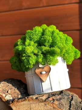 МОСС ХРОБОТЕК ДЕРЕВЯННЫЙ ОТДЕЛКА МОДНЫЙ ОТДЕЛКА ДЕРЕВО