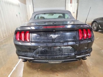 Ford Mustang VI 2021 Ford Mustang 2021 2.3 Benzyna 310KM, zdjęcie 2