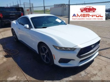 Ford Mustang VI 2024 Ford Mustang Ecoboost Premium Fastback, 2024r., 2.3L 2.3 Benzyna 319KM