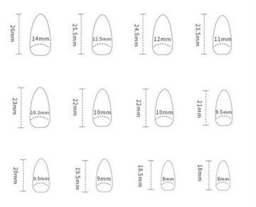 Искусственные ногти нагнетающие овальные французские обнаженные сами -гристые цветы