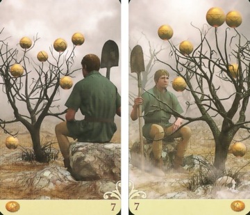 Vice Versa Tarot MINI, instr.pl