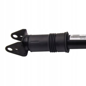 Задний амортизатор на Mercedes R class W251