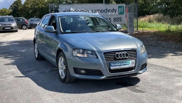 Audi A3 8P Hatchback 3d 1.6 TDI 105KM 2010 Audi A3 Raty tylko 150 tys km 5drzwiowy Sportback serwis Import Gwarancja, zdjęcie 8