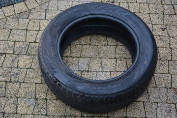 OPONA NOKIAN WR D3 205/60/R16 96H XL
