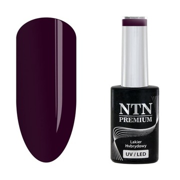 Lakier hybrydowy NTN Premium 5G Seductive NR 132