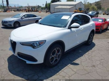 Alfa Romeo Stelvio 2022 Alfa Romeo Stelvio Sprint 2022 2.0l 2.0 Benzyna 280KM, zdjęcie 1