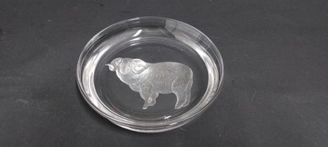 Patera Paterka Hoya Cristal Baran design