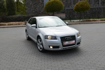 Audi A3 8P Hatchback 3d 1.9 TDI 105KM 2008 Audi A3 3-drzwiowe 1.9TDi 105KM 2008r. Klima, zdjęcie 8