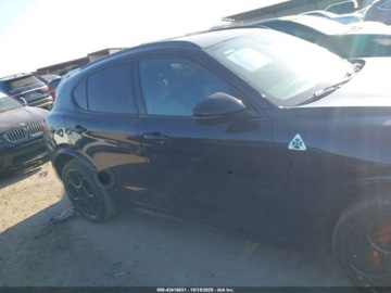 Alfa Romeo Stelvio 2022 Alfa Romeo Stelvio Quadrifoglio 2022 2.9l 2.9 Benzyna 505KM, zdjęcie 6