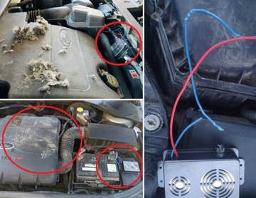 КУЛОН-РЕПЕЛЛЕНТ MARTEN, ЭФФЕКТИВНЫЙ ОТПУСКАТЕЛЬ ГРЫЗУНОВ ДЛЯ АВТОМОБИЛЯ И ДОМА