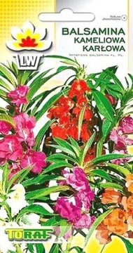 Balsamina Kameliowa Karłowa mieszanka Nasiona 0,5g