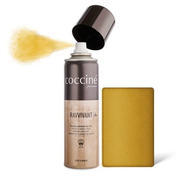 FARBA DO ZAMSZU RENOWATOR KOLORU DO BUTÓW SPRAY