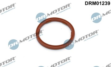 DR.MOTOR DRM01239 Pierścień uszczelniający, korek spustowy oleju