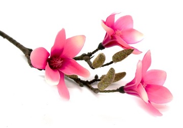 MAGNOLIA GAŁĄZKA RÓŻOWA 3 KWIATY 42cm