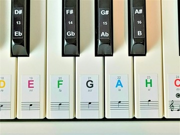 МУЗЫКАЛЬНЫЕ НАКЛЕЙКИ ДЛЯ КЛАВИАТУР ПИАНО, ЦВЕТНЫЕ