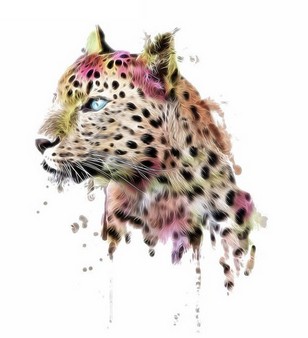 TERMO NAKLEJKA APLIKACJA NAPRASOWANKA gepard K 19