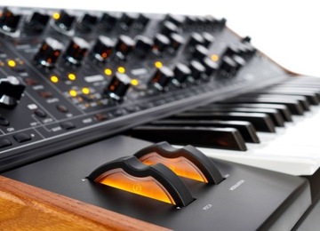 Moog Последующий 37 Стандарт