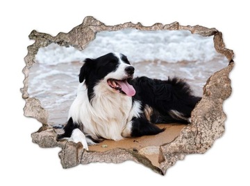 Naklejka na ścianę dziura 3D fototapeta miły pies