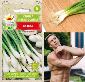 Cebula Siedmiolatka Bajka nasiona 3 g