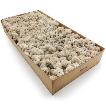 2kg NETTO MECH CHROBOTEK Fiński OCZYSZCZONY