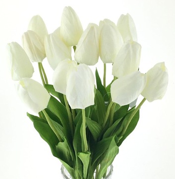 TULIPAN POJEDYNCZY BIAŁY 47 cm