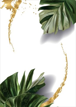 Monstera Plakat Plakaty do ramki B2 70x50cm