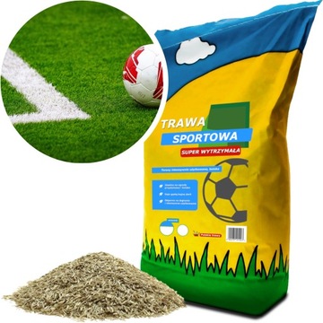Спортивная трава, устойчивая к набережной 10 кг 400M2