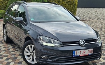 Volkswagen Golf VIII Hatchback 2.0 TDI SCR 115KM 2019 Volkswagen Golf Niski przebieg 88 tys,1.6 Diesel, Faktura,Polecam 2.0, zdjęcie 1