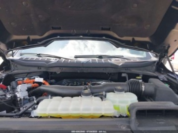 Ford 2024 Ford F150 XLT 2024 3.5l 3.5 Hybryda 325KM, zdjęcie 8