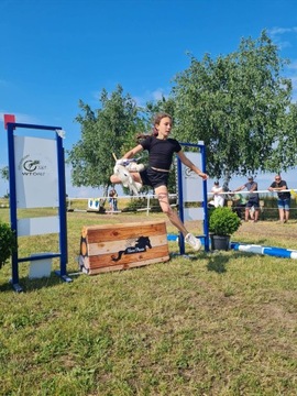 HorseMania - Мини-стена для хобби-лошадей, безопасное препятствие