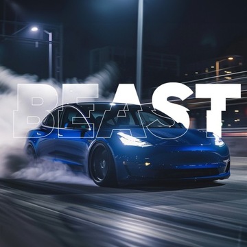 Активная выхлопная система Beast Sound Booster V8 Pilot