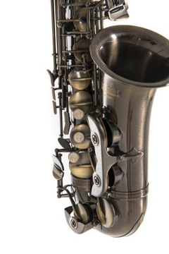 Саксофон альт Roy Benson AS-202G в настройке ми-бемоль