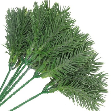 ŚWIERK GAŁĄZKA ŚWIERKOWA CHOINKA GĘSTE GAŁĄZKI 6gał