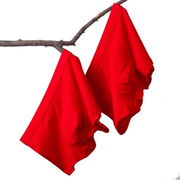 Bokserki męskie Spodnie bieliźniane o dobrej przepuszczalności powietrza, czerwony, 8XL