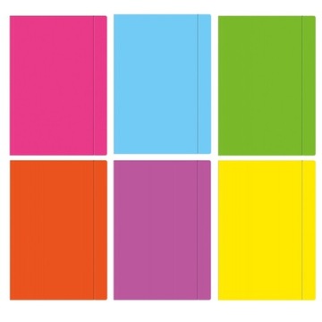 ПАПКА С ЛАСТИКОМ А4+ ФЛУОРЕСЦЕНТНАЯ INTERDRUK MIX 1 шт.