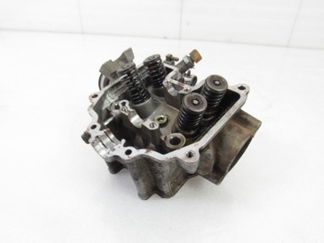 Арктический кот 400 голов, 14р.