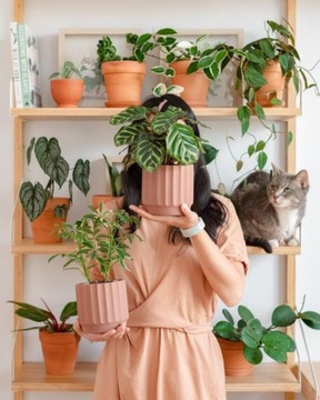 FELTI - Skuteczny Preparat NA ZIEMIÓRKI MUSZKI WCIORNIASTKI - BIO NICIENIE