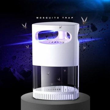 Постельные клопы и летающие плодовые мухи светло-белого цвета