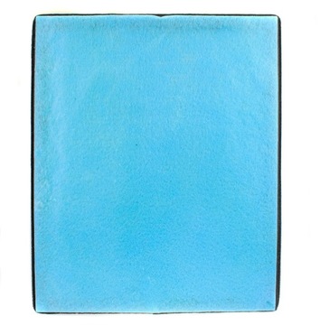 ФИЛЬТР ДЛЯ ОЧИСТИТЕЛЯ ВОЗДУХА WEBBER AP8300