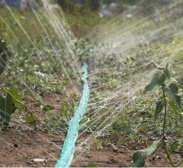 10 м САДОВЫЙ ШЛАНГ ДЛЯ ОПРЫСКИВАНИЯ КАПЕЛЬНОЙ ЛИНИИ