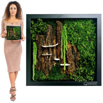 OBRAZ Z MCHU w drewnianej ramie 27x27 cm mech chrobotek ŻYWY OBRAZ handmade