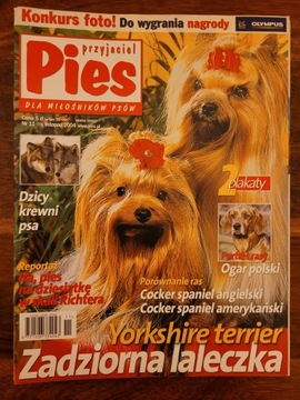 Ежемесячный журнал Wiedza Pies № 1-12, 2004 г.