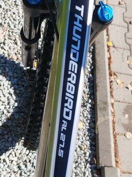 Велосипед для фрирайда Dartmoor Thunderbird FR Pro 2024 M из испытательного центра