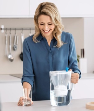 Фильтрующий элемент Brita Maxtra+ Pure Performance 1 шт.