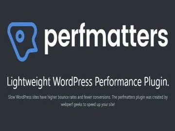 Плагин Perfmatters — легкий плагин WP